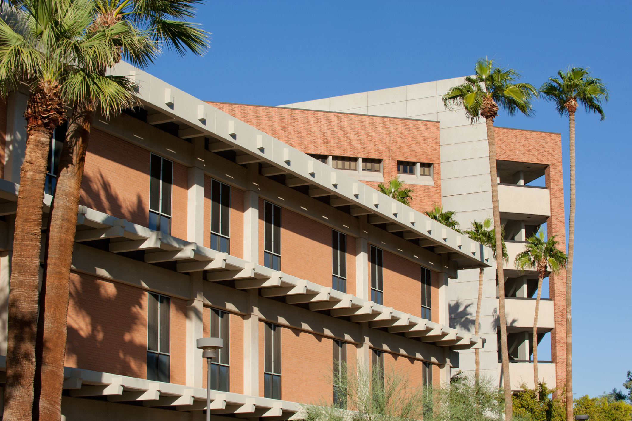 Arizona State University Off-Campus Housing Guide
